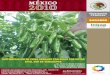 Guía para el cultivo de chile tampico