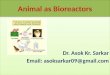 Animal as Bioreactors