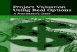 Project Valuation Using Real Options.pdf