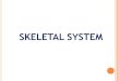 Skeletal System Overview PPT