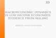 Macroeconomic Dynamics in Low Income Economies; Evidence From Malawi