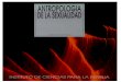 Choza Armenta Jacinto - Antropologia De La Sexualidad.pdf