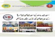 İstanbul Üniversitesi Veteriner Fakülstesi Tanıtım Broşürü