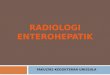 Kuliah enterohepatik radiologi