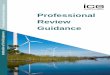Professional Review Guidance 2015-05-01