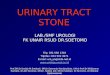 Kuliah Urinary Tract Stone