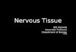 Nervous Tissue Will Kleinelp Associate Professor Department of Biology ©2006 Will Kleinelp Associate Professor Department of Biology ©2006