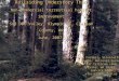 Verne Farrell, Silviculturist Olympic National Forest 437 Tillicum Lane Forks, WA 98331 360-374-1246vfarrell@fs.fed.us Railsiding Understory Thin Non-commercial