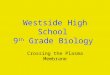 Westside High School 9 th Grade Biology Crossing the Plasma Membrane