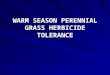 WARM SEASON PERENNIAL GRASS HERBICIDE TOLERANCE. Herbicide Trial 2008