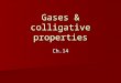 Gases & colligative properties Ch.14. Gases dissolving in liquids Pressure and temperature influence gas solubility Pressure and temperature influence