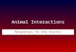 Animal Interactions Responses to the biotic environment