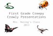First Grade Creepy Crawly Presentations Mrs. Herzogs Class 2013