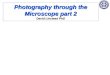 Photography through the Microscope part 2 David Linstead PhD