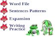 Word File Sentences Patterns Expansion Writing Practice