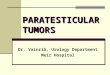 PARATESTICULAR TUMORS Dr. Vainrib, Urology Department Meir Hospital