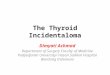 The Thyroid Incidentaloma Dimyati Achmad Department of Surgery Faculty of Medicine Padjadjaran University/ Hasan Sadikin Hospital Bandung Indonesia