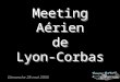 Meeting Aérien de Lyon-Corbas Dimanche 28 mai 2006