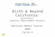 Birth & Beyond California: Continuous Quality Improvement Project Decision Maker Course 2009 Cycle 4 1