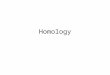Homology. Homology Review Human arm Lobed-fin fish fin Bat wing Bird wing Insect wing Homologous forelimbs not homologous as forelimbs or wings Definition: