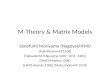 M-Theory & Matrix Models Sanefumi Moriyama (NagoyaU-KMI) [Fuji+Hirano+M 1106] [Hatsuda+M+Okuyama 1207, 1211, 1301] [HMO+Marino 1306] [HMO+Honda 1306] [Matsumoto+M