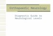 Orthopaedic Neurology Diagnostic Guide to Neurological Levels