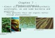 Chapter 7 - Photosynthesis Almost all plants are photosynthetic autotrophs, as are some bacteria and protists –They generate their own organic matter through