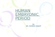 HUMAN EMBRYONIC PERIOD By DR. SAMINA ANJUM. DERIVATIVES OF ENDODERMAL GERM LAYER This germ layer covers the ventral surface of the embryo forms the roof