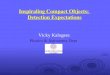 Inspiraling Compact Objects: Detection Expectations Vicky Kalogera Physics & Astronomy Dept