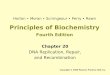 Principles of Biochemistry Fourth Edition Chapter 20 DNA Replication, Repair, and Recombination Copyright © 2006 Pearson Prentice Hall, Inc. Horton Moran