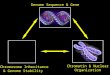 Genome Sequence & Gene Expression Chromatin & Nuclear Organization Chromosome Inheritance & Genome Stability
