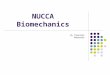NUCCA Biomechanics By Takanobu Nakaseko. Review of Misalignment Types