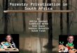 Forestry Privatization in South Africa by Aditya Agarwal Siddharth Bafna Alok Gupta Ioannis Maniatis Ozlem Tanik