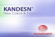 KANDESN ® COLOR COSMETICS Our multi-tasking cosmetics create fresh beauty for women of all ages and ethnicities