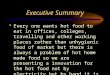 Executive Summary Every one wants hot food to eat in offices, colleges, travelling and other working places rather than unhygienic food of market but there