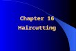 Chapter 16 Haircutting. Basic Principles of Haircutting Good haircuts: *understand the shape of the head Hair responds differently: *various areas *depends
