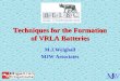 Techniques for the Formation of VRLA Batteries M.J.Weighall MJW Associates