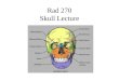 Rad 270 Skull Lecture. Skull Anatomy Comprised of 22 separate bones divided into two groups: –Cranial bones – 8 –Facial bones – 14 Cranial bones further