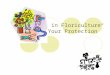 Safety in Floriculture “For Your Protection”. “If there’s a rule, there’s a reason, I don’t want you to get hurt!”