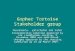 Gopher Tortoise Stakeholder group Governance- principles and rules Incorporating material approved by the stakeholder meeting, 9 December 2005 and additional