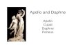 Apollo and Daphne Apollo Cupid Daphne Peneus. Cupid