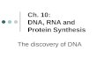 Ch. 10: DNA, RNA and Protein Synthesis The discovery of DNA