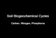 Soil Biogeochemical Cycles Carbon, Nitrogen, Phosphorus