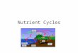 Nutrient Cycles. Biochemical cycles Also called the Nutrient Cycles. Four most abundant elements in our body: CHON (carbon, hydrogen, oxygen, nitrogen)