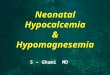 Neonatal Hypocalcemia & Hypomagnesemia S – Ghami MD