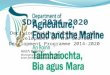 Decision Making Process in the development of the Seafood Development Programme 2014-2020 Keith Kelleher Managing Authority – EFF / EMFF Keith.kelleher@agriculture.gov.ie