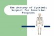The Anatomy of Systemic Support for Immersion Programs