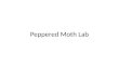Peppered Moth Lab. Real Life Moth Example Moths are found in large numbers in England The peppered moth always thrived and lived easily, being able to