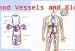 P5 Assessment To achieve P5 you need to describe: The different structures within the heart (i.e. atria, ventricles and so forth). The different types