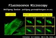 Fluorescence Microscopy Wolfgang Graier (wolfgang.graier@kfunigraz.ac.at) F-actin NFkB (activation by H 2 O 2 ) Pictures: W.F Graier, MBC & MB, Graz, Austria